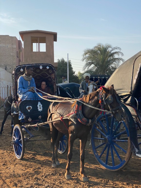 The Falcon God’s Fortress –&nbsp;Edfu