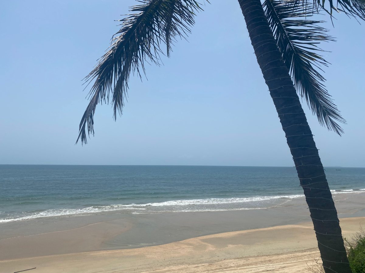 GOA – 2023&nbsp;edition