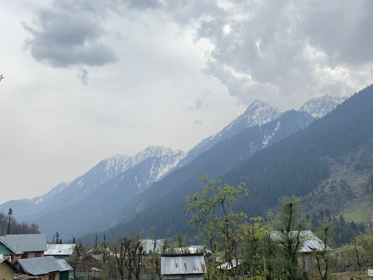 Living the elementary..