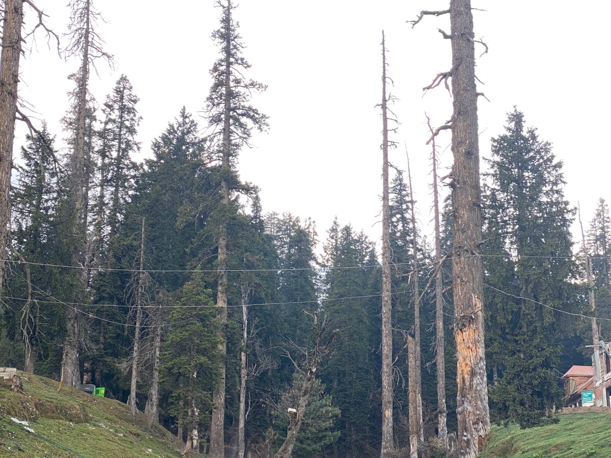 Kashmir through the&nbsp;ages