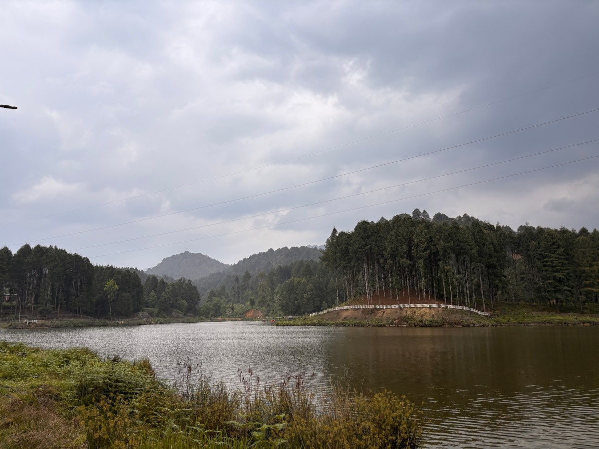 Ziro – A Symphony in&nbsp;Green